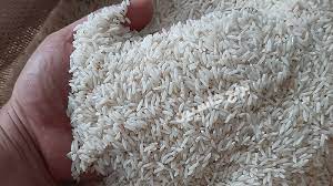 خرید و قیمت برنج شمال طارم + فروش صادراتی